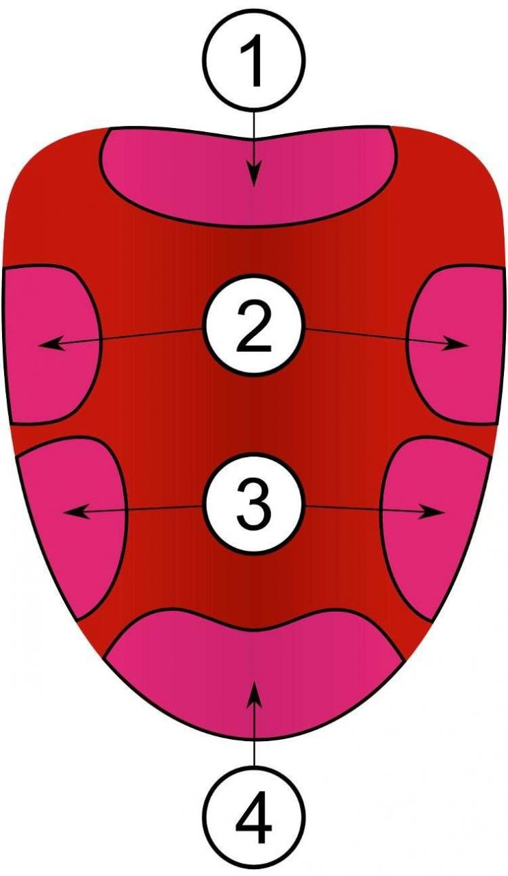 6 “sự thật” sai lầm trong sách giáo khoa phổ thông