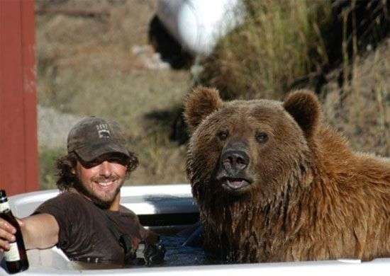 Những sự thật thú vị về loài gấu ít người biết đến