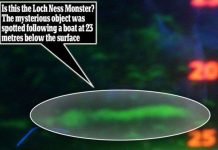 Quái vật hồ Loch Ness giống khúc gỗ mục?