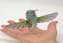 Mỹ chế tạo “UAV động vật”, có khả năng “ăn cắp điện”