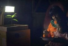 Đèn lấy điện từ cây thắp sáng làng quê hẻo lánh ở Peru