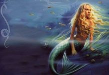 Nàng tiên cá không tồn tại Nàng tiên cá không tồn tại