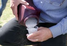 Những bí mật bên trong lò hoá thân