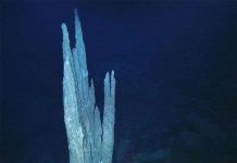 Nơi sự sống bắt đầu trên trái đất