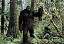 Treo thưởng 1 triệu USD để bắt dã nhân