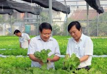 Công nghệ tưới nước Israel về vùng đất khô hạn nhất miền Trung