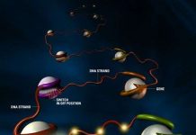 Vai trò to lớn của công nghệ tổ hợp gen nhân tạo