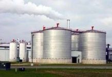 Phân trâu bò – nguồn nguyên liệu quý cho nhiên liệu Ethanol Phân trâu bò - nguồn nguyên liệu quý cho nhiên liệu Ethanol