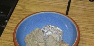 Chất nôn cá voi là... thuốc kích dục cực mạnh