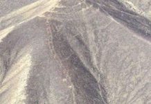 Phát hiện hình vẽ bí ẩn mới ở kỳ quan cổ giữa sa mạc