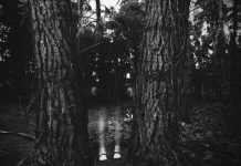 Không ai tìm được nguyên nhân "gây ám ảnh" của những bức ảnh này