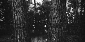 Không ai tìm được nguyên nhân "gây ám ảnh" của những bức ảnh này