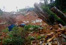 Lở đất tại Brazil làm nhiều người chết và mất tích