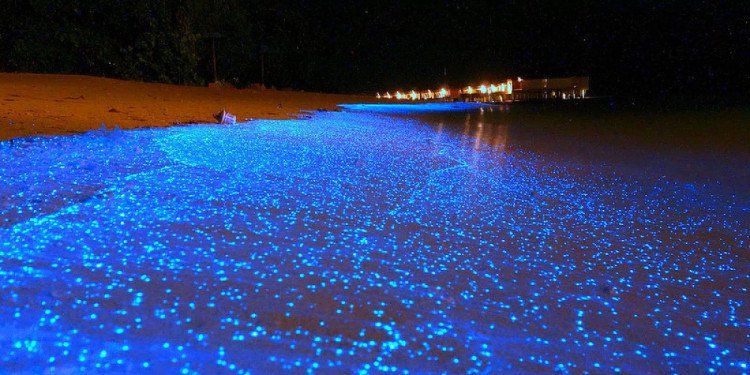Bờ biển phát sáng ảo diệu tại quốc đảo Maldives