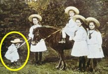 Bức ảnh này có điểm cực đặc biệt, đảm bảo bạn sẽ “vỡ oà” khi biết sự thật đó Bức ảnh này có điểm cực đặc biệt, đảm bảo bạn sẽ "vỡ oà" khi biết sự thật đó