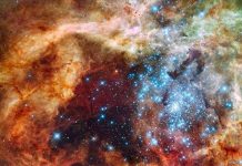 Phát hiện ngôi sao lớn gấp 300 lần mặt trời