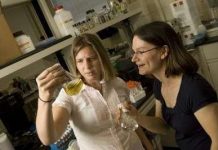 Công cụ gen giúp lọc sạch nước uống