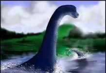 Bí mật về quái thú