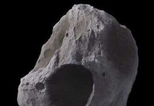 'Bạn đồng hành' thầm lặng của trái đất