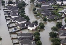 Bão Harvey vừa tan, xuất hiện đàn muỗi hàng triệu con "xâm chiếm" Texas