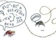 Loài vật cũng học nhưng thông minh hơn chưa chắc đã tốt hơn (Phần 1)