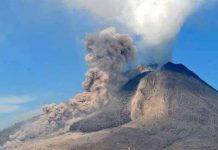 Italy: Thiết lập bản đồ nguy cơ cho núi lửa Vesuvius
