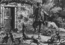 Sự thật về đảo hoang nơi Robinson từng sống Sự thật về đảo hoang nơi Robinson từng sống