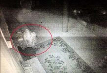 Rộ nghi vấn xác ướp trăm tuổi của nhà sư có dấu hiệu hồi sinh và đi lại