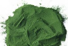 Mexico nghiên cứu thành công nhiên liệu sinh học từ tảo xoắn