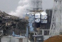 Nhật Bản: Còn người Việt mất tích trong thảm hoạ 11/3