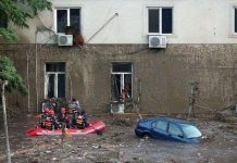 Sư tử, hổ thoát khỏi vườn thú sau lũ lớn