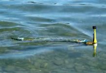 Thụy Sỹ phát triển thành công robot lươn phát hiện ô nhiễm trong nước Thụy Sỹ phát triển thành công robot lươn phát hiện ô nhiễm trong nước