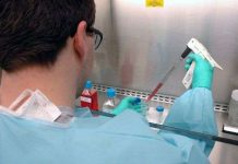 Gần 1 triệu USD nâng cao quản lý an toàn sinh học