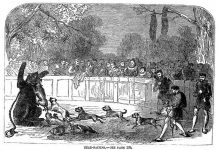 Những thú vui "kinh dị" của con người thời xưa