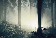 Xem tài liệu mô tả trải nghiệm "đến gần cái chết" của thế kỷ 18