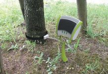 Mầm cây thông minh biết đo khí thải CO2