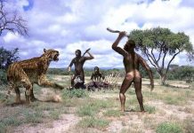 Loài mèo ăn thịt người từng khiến con người sợ khiếp vía Loài mèo ăn thịt người từng khiến con người sợ khiếp vía