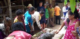 Quái vật đầu cá sấu mình trâu gây xôn xao ở Thái Lan