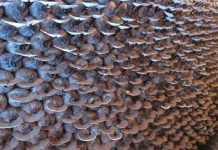 Hoàn thiện quy trình trồng nấm linh chi tại Huế