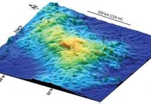 Núi lửa lớn nhất hệ Mặt Trời ẩn dưới Thái Bình Dương