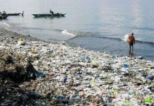 Rác đại dương thu hút các nhà thám hiểm