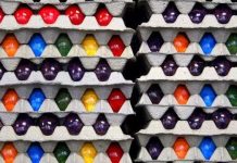 Biến vỏ trứng thành chất dẻo