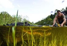 Cận cảnh cá sấu khổng lồ