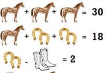 Bài toán con ngựa gây sốt mạng xã hội