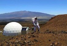 Các nhà khoa học tình cách trồng cây trên sao Hỏa