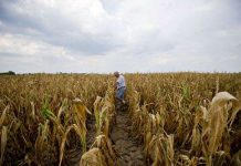 Mỹ: Hạn hán nghiêm trọng nhất trong gần 60 năm qua