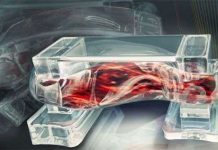 Robot sinh học chế tạo bằng mô người, có thể dùng để cấy ghép