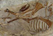 Bí ẩn ngủ quên bên những ngôi mộ kỳ bí