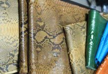 Trăn bị đe dọa vì vấn nạn xuất khẩu da