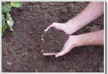 Đất đặc biệt để khắc phục thay đổi khí hậu